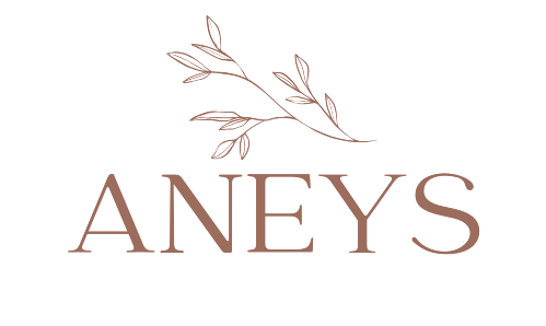 Aneys