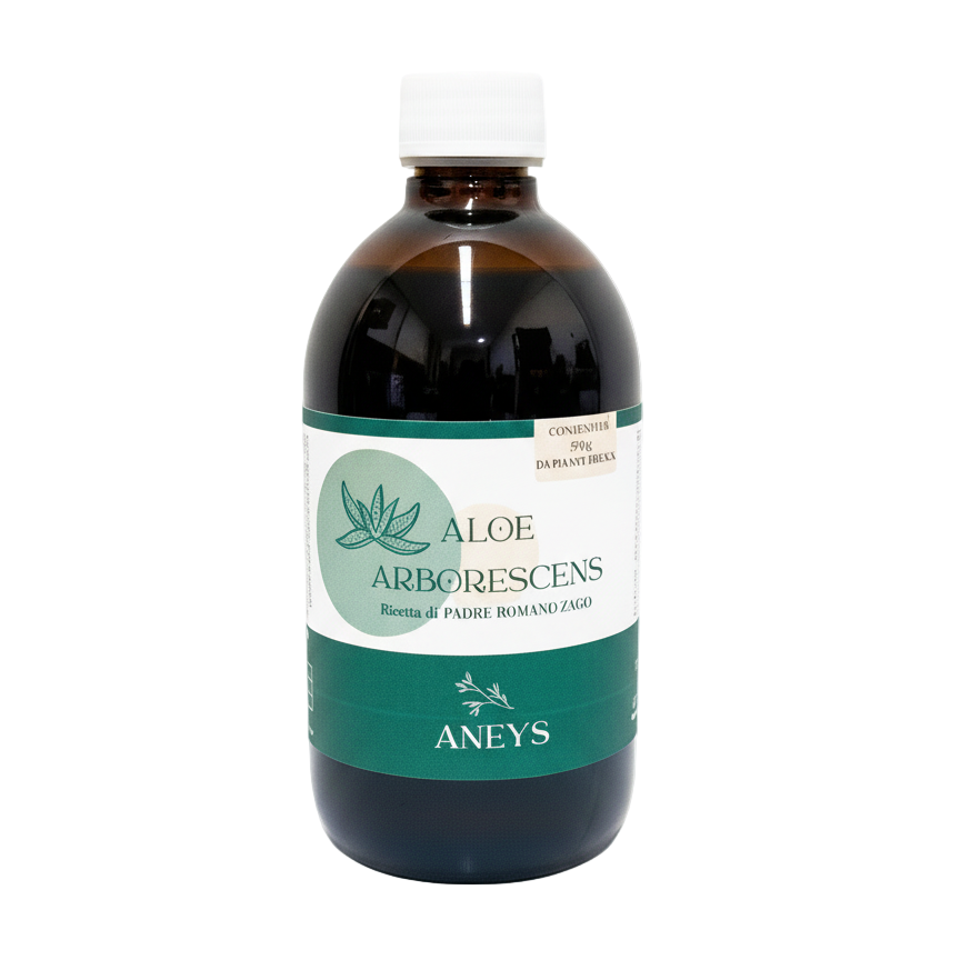 Aloe Arborescens Neutral Background Square