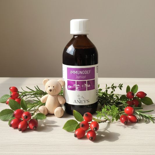 IMMUNODEF Junior - Con orsetto e rosa canina