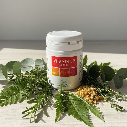 Vitamin Up - Modern Herbalist